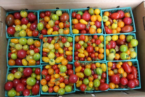 Cherry Tomatoes Mixed Medley