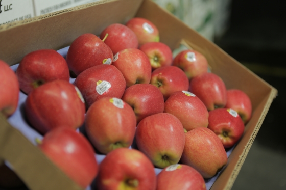Gala Apples Organic