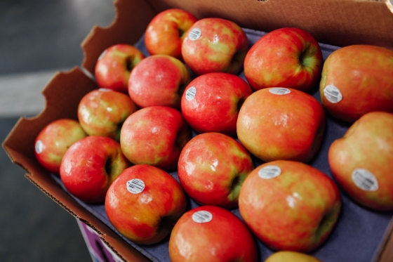 Case of Pink Lady Apples