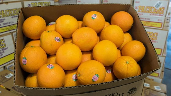 Organic Cara Cara Oranges