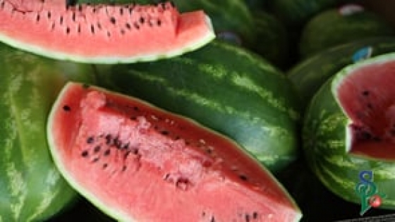 Fresh Watermelon with seeds.