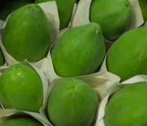 Green Papayas