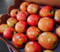 Case of Pink Lady Apples