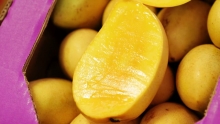 The Market Review - Assorted Mangoes