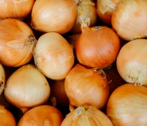Oso Sweet Onions